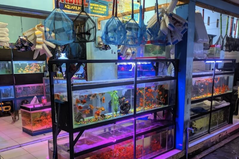 Warung Kopi di Jalan Ir Juanda: Saingan Rival Saat Citimall Datang